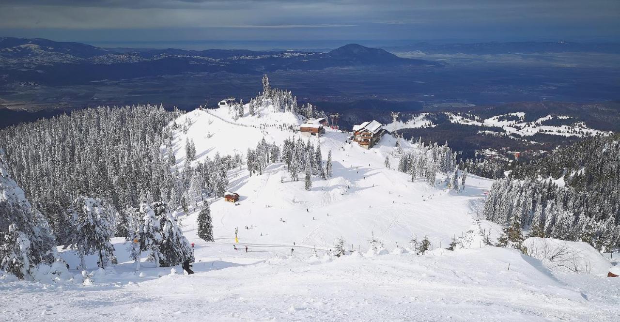 Mountain Lodge Rîşnov エクステリア 写真