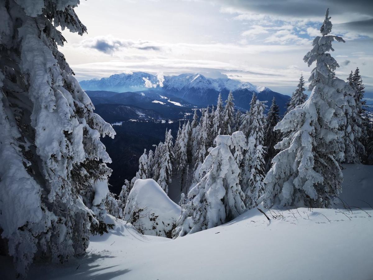 Mountain Lodge Rîşnov エクステリア 写真