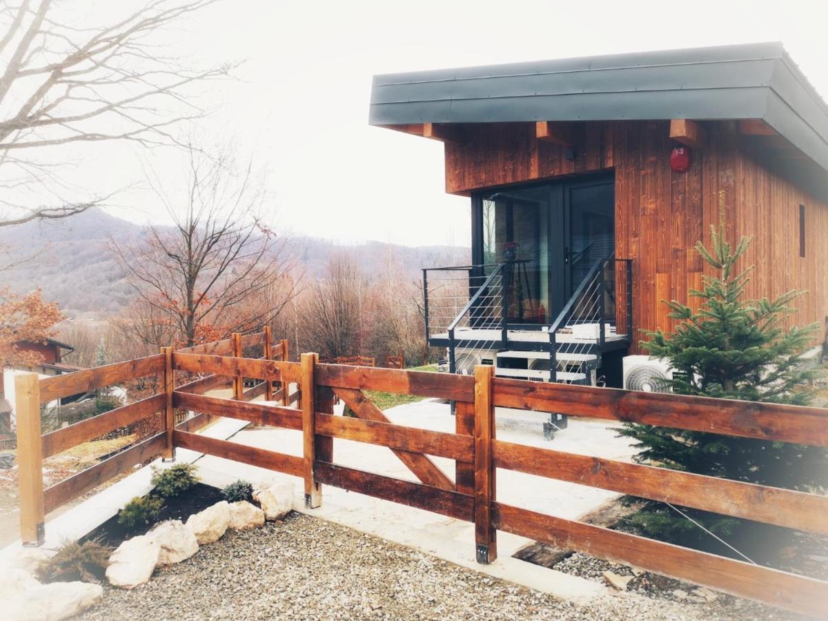 Mountain Lodge Rîşnov エクステリア 写真