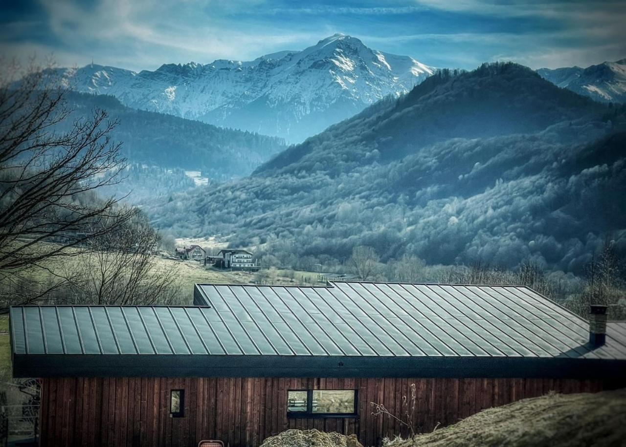 Mountain Lodge Rîşnov エクステリア 写真